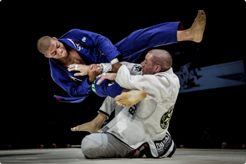 Get Wallpaper Brazilian Jiu Jitsu Art Pictures