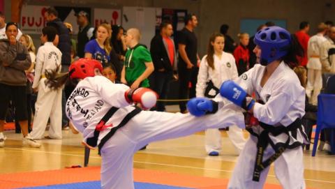 Taekwon-Do The Martial Arts Academy