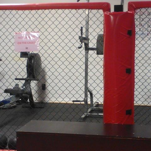 Fitness & Weights The Martial Arts Academy Tauranga