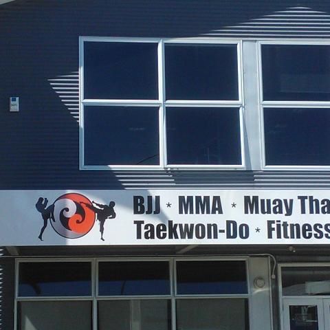 The Martial arts Academy Tauranga