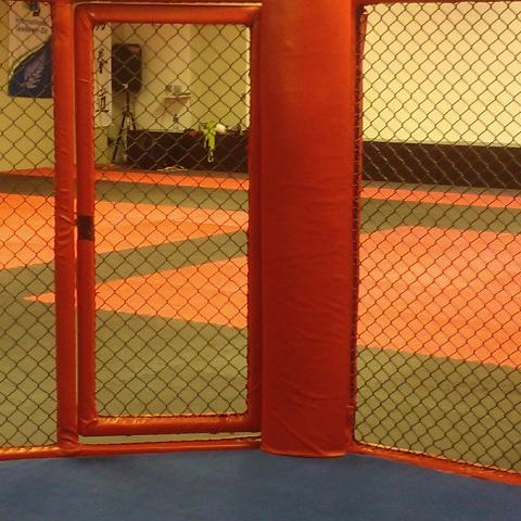 The MMA Octagon The Martial Arts Academy Tauranga