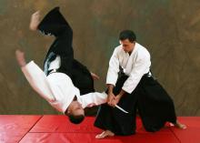 Aikido The Martial Arts Academy Tauranga