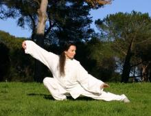 Tai Chi The Martial Arts Academy Tauranga